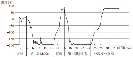 The temperature curve of ICCH for unresectable pancreatic cancer