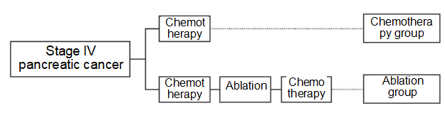 The treatment strategies of chemotherapy group and ablation group
