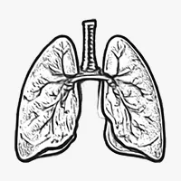 Lung Cancer